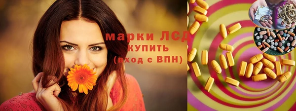 ГАЛЛЮЦИНОГЕННЫЕ ГРИБЫ Магас