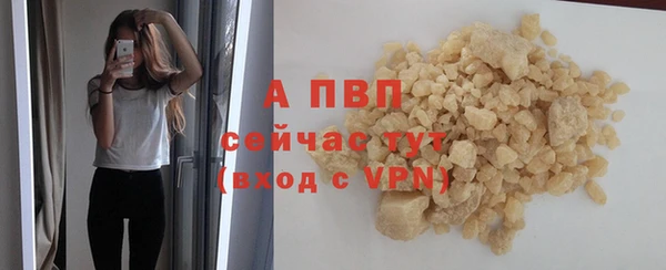 ГАЛЛЮЦИНОГЕННЫЕ ГРИБЫ Магас