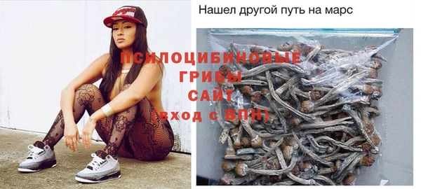 ГАЛЛЮЦИНОГЕННЫЕ ГРИБЫ Магас