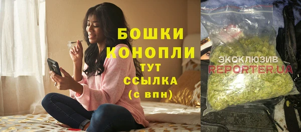 ГАЛЛЮЦИНОГЕННЫЕ ГРИБЫ Магас