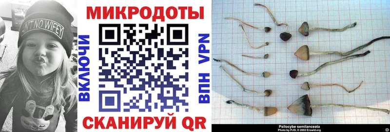 Купить где  Кузнецк  Галлюциногенные грибы MAGIC MUSHROOMS 